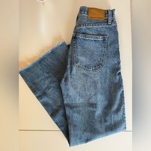 Aritzia Denim Forum Farrah High Rise Wide Leg